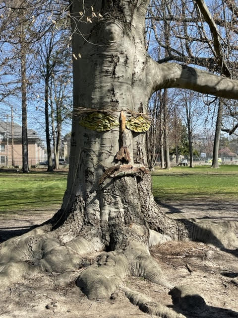 Tree Mask Project